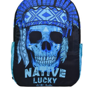 NATIVE SKULL