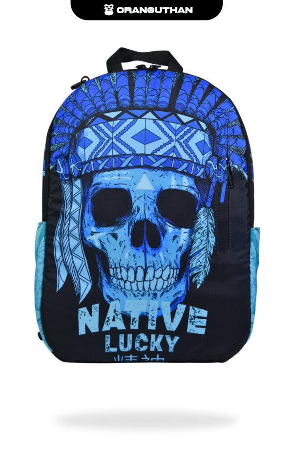 NATIVE SKULL